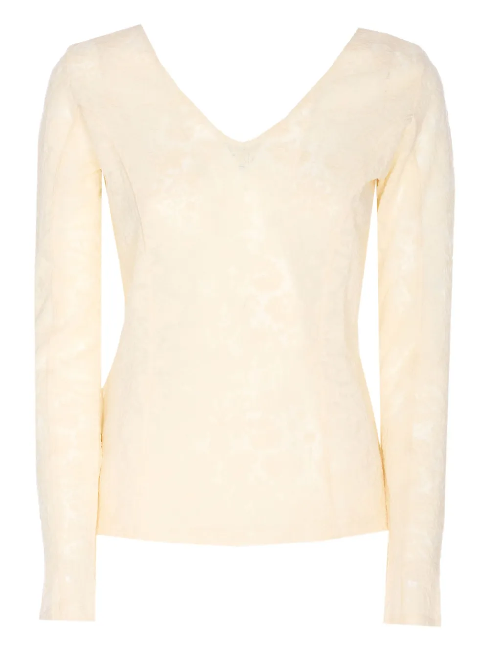 PINKO Michetti lace V-neck top - Toni neutri