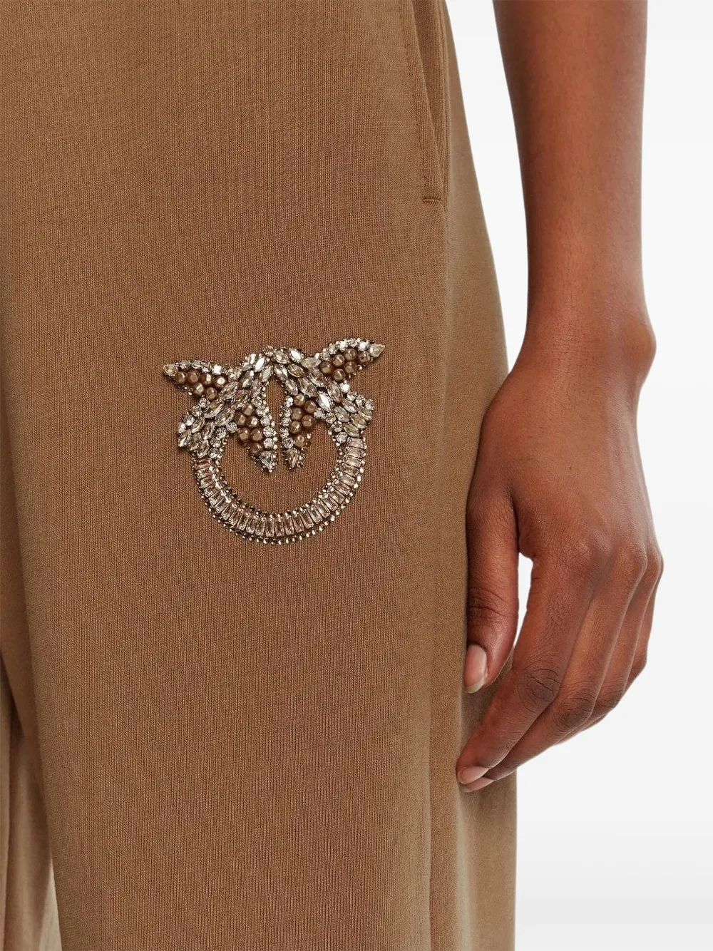 PINKO Plumcake verfraaide broek Bruin