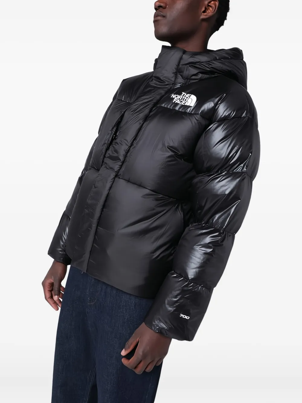 The North Face plumífero con capucha | negro | Image 1