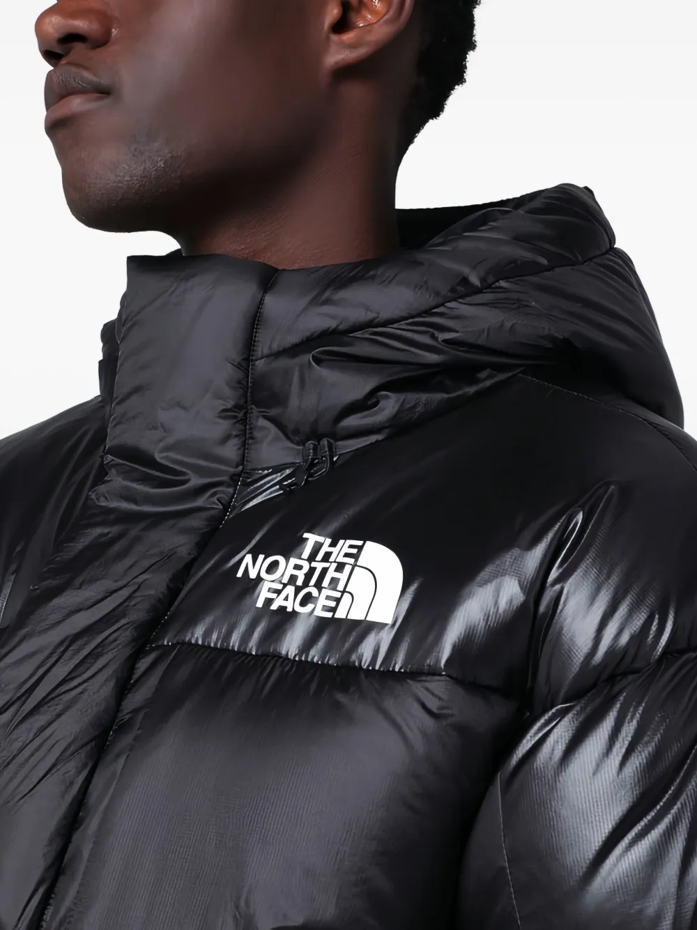 The North Face Hooded Puffer Jacket In Black