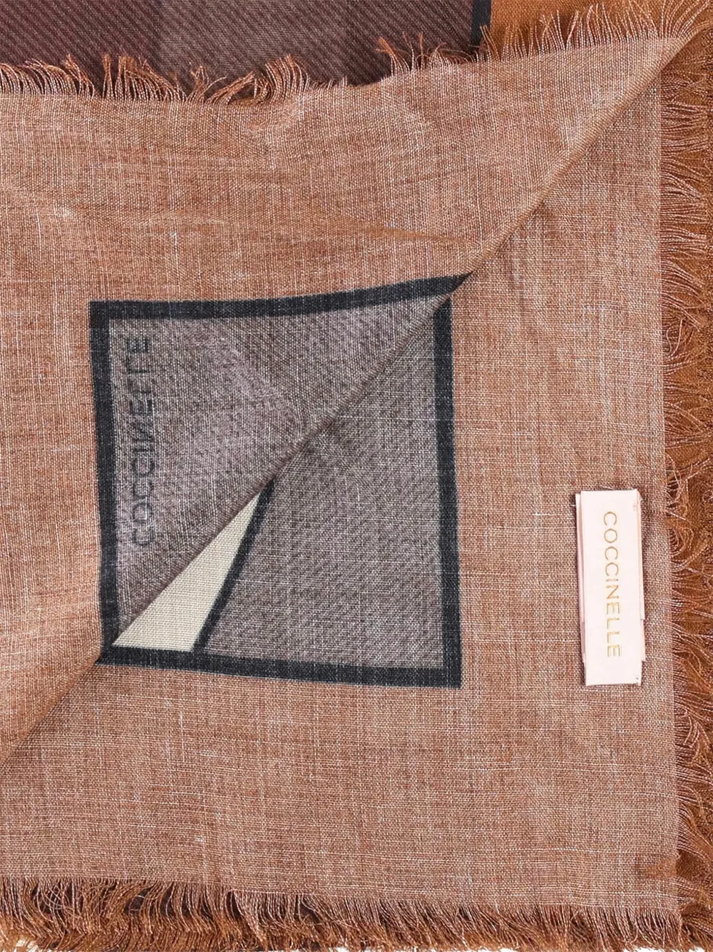 Coccinelle Fringed Scarf In Brown