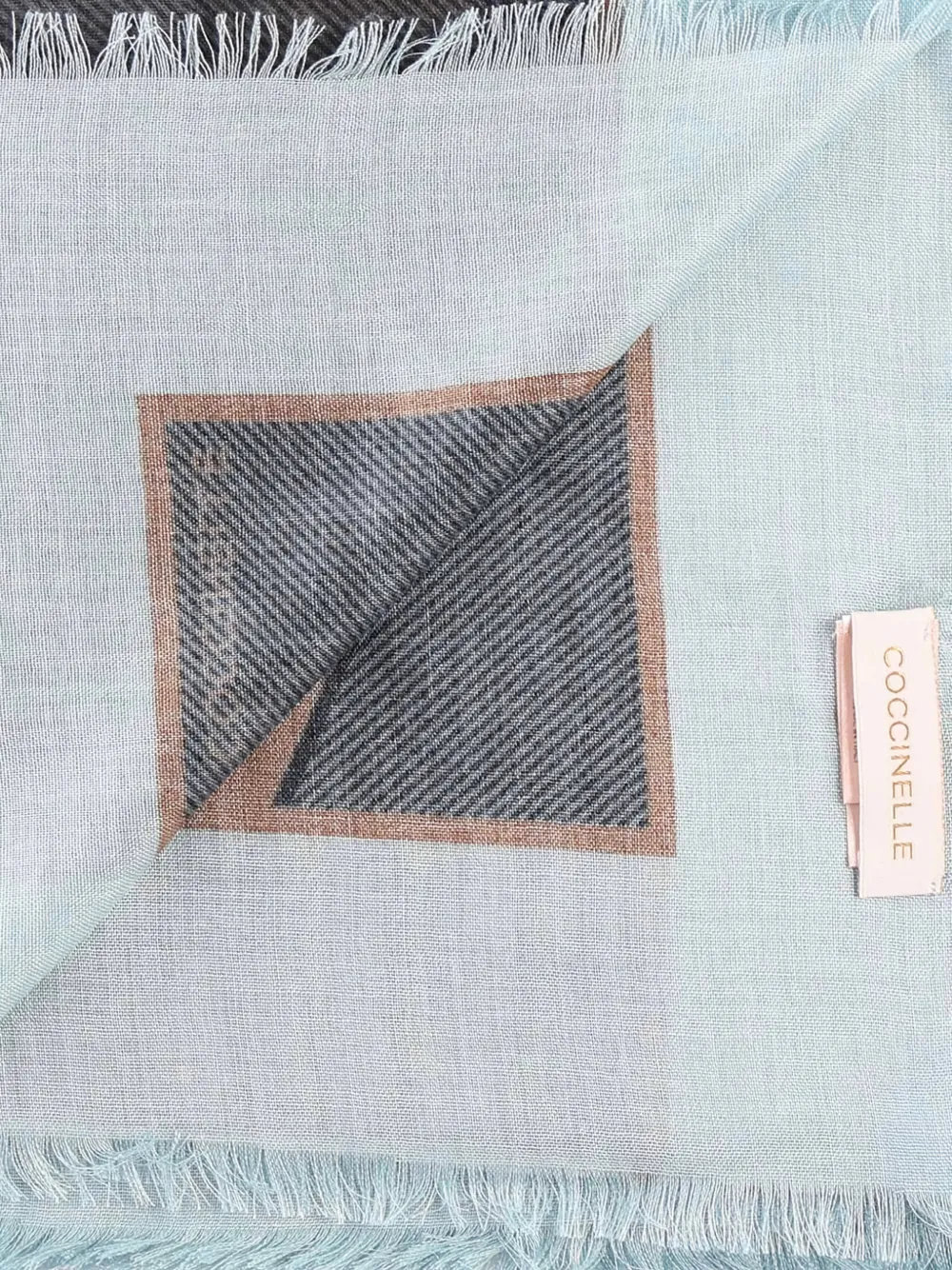 Coccinelle Fringed Shawl In Blue