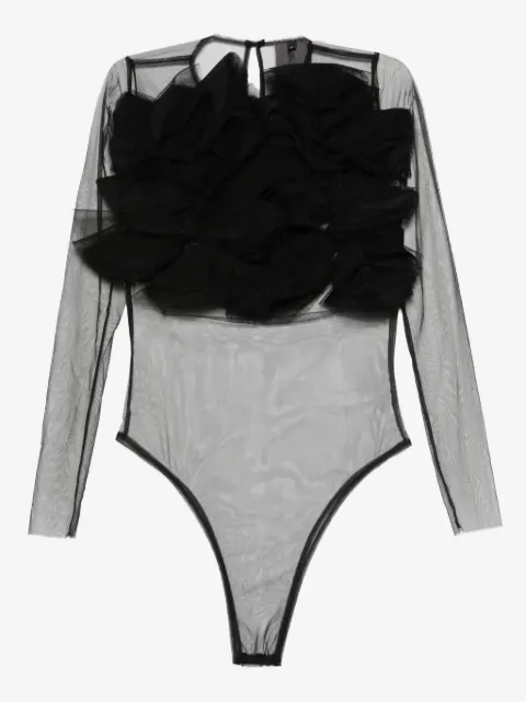 RHIZOME Antonia body