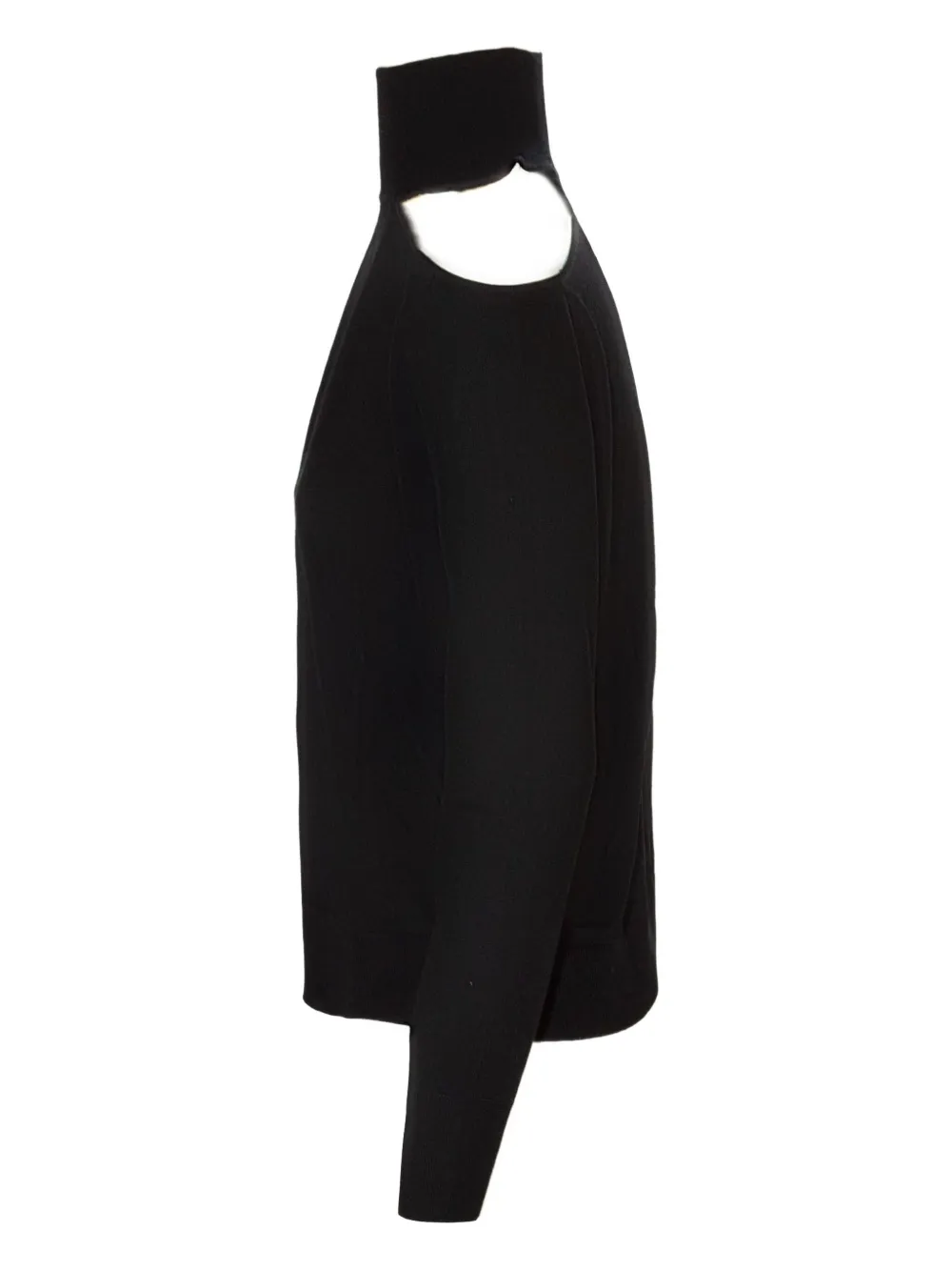 Kangra Cashmere Cut-out High-neck Sweater In Black