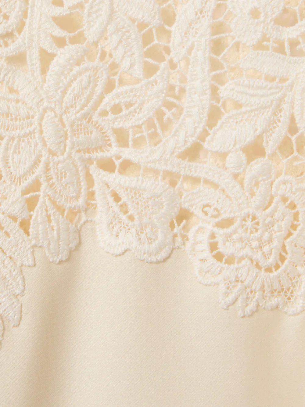 Lace Glow Blouse
