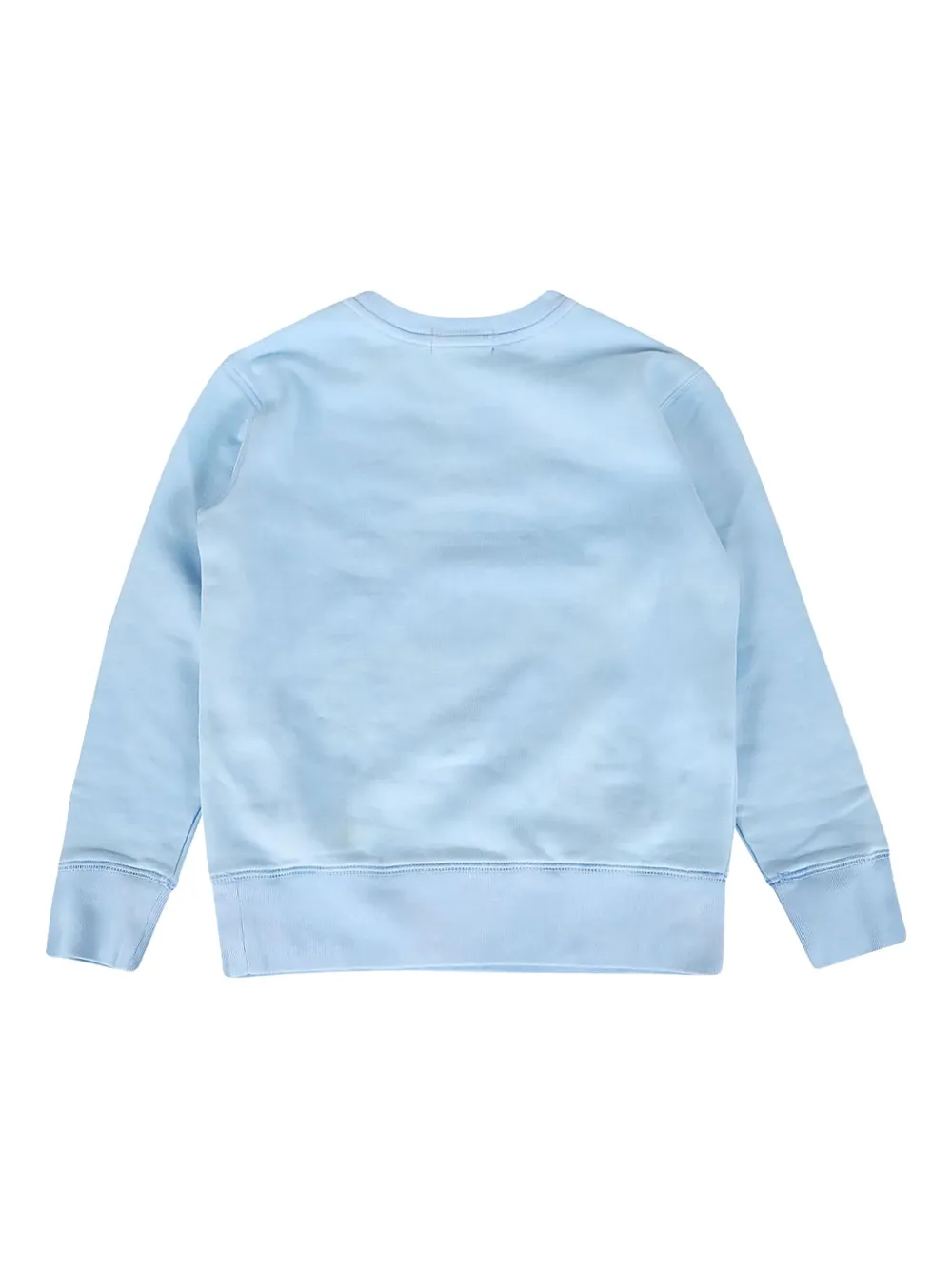 POLO RALPH LAUREN KIDS Sweater met print Blauw