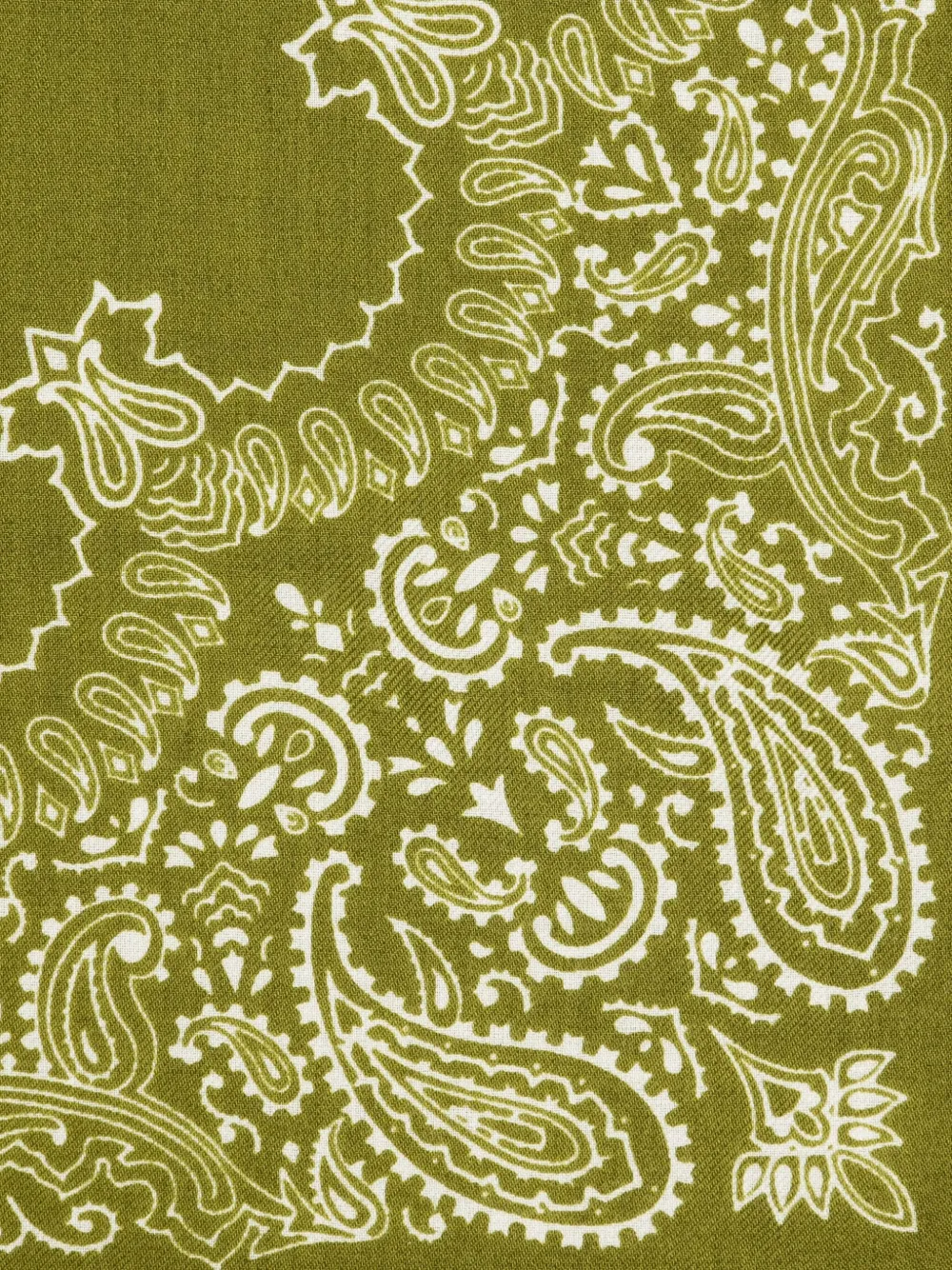 Destin Paisley-print Bandana Scarf In Green