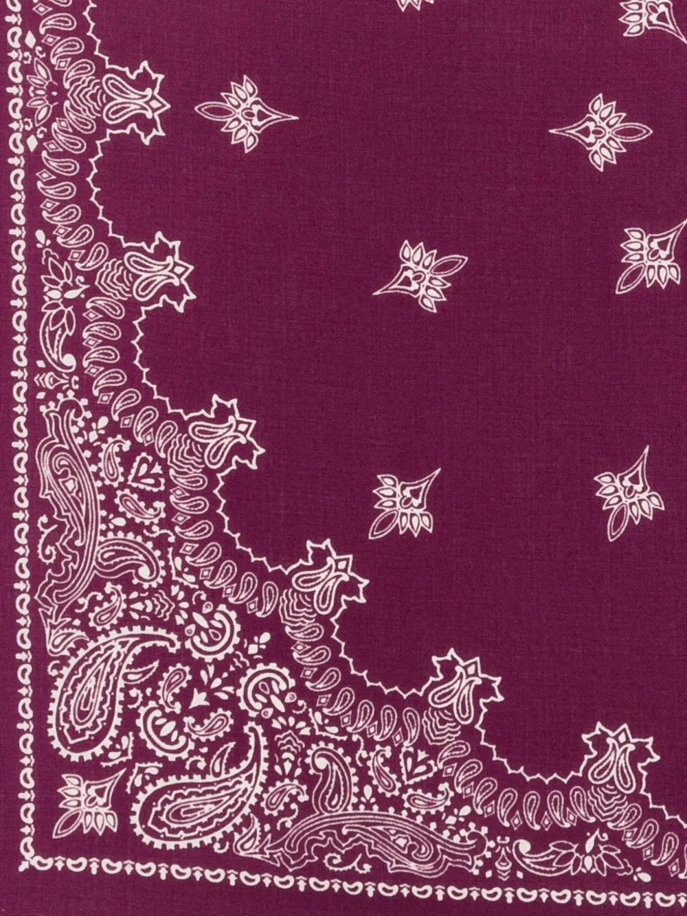 Destin Paisley-print Bandana Scarf In Purple