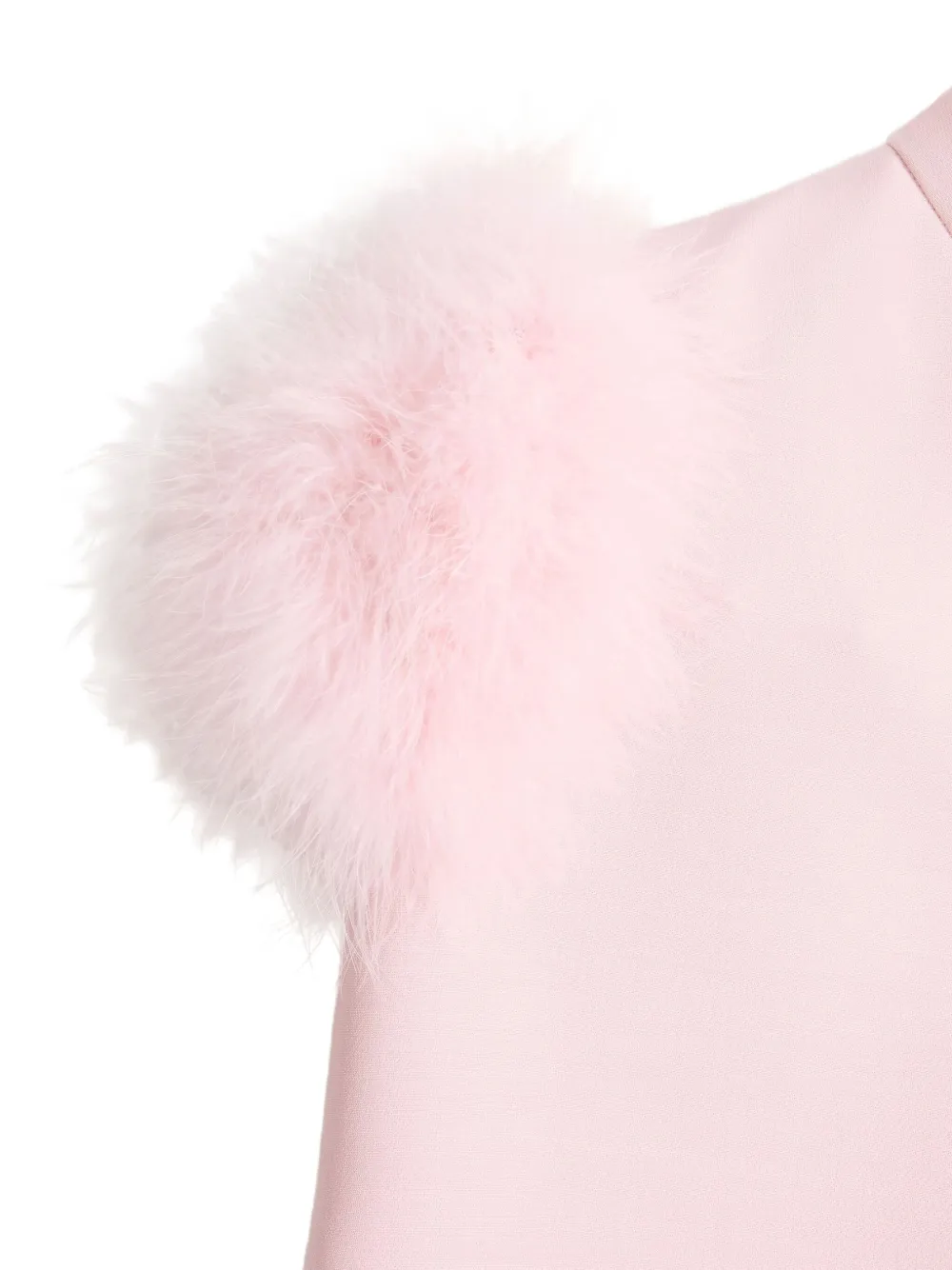 Valentino Garavani Crepe Couture mini-jurk met veren Roze