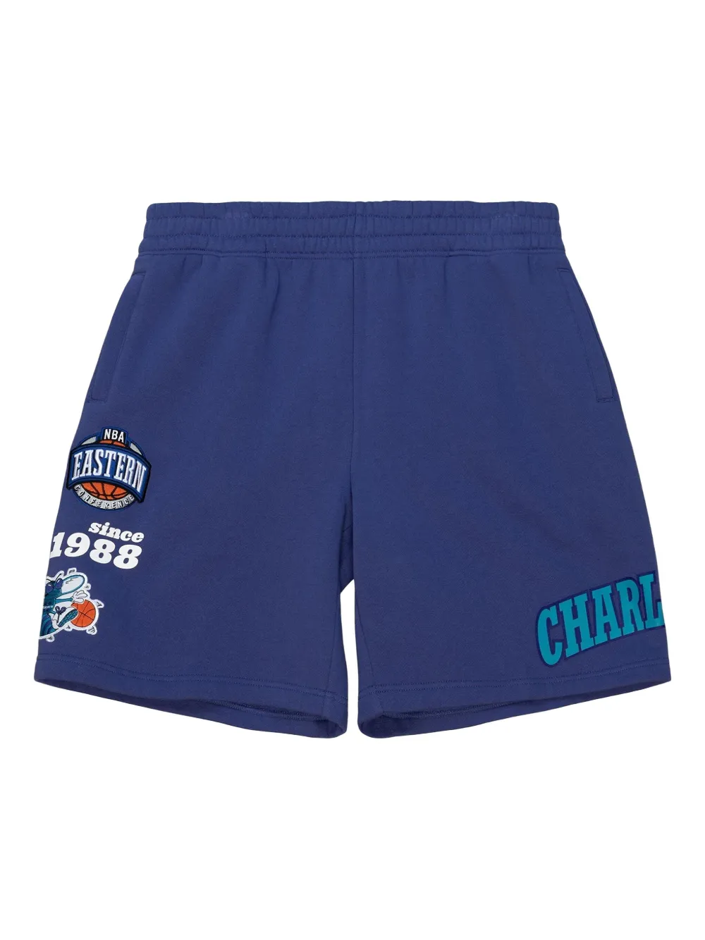 Mitchell & Ness Shorts Charlotte Hornets Team Origins - Viola