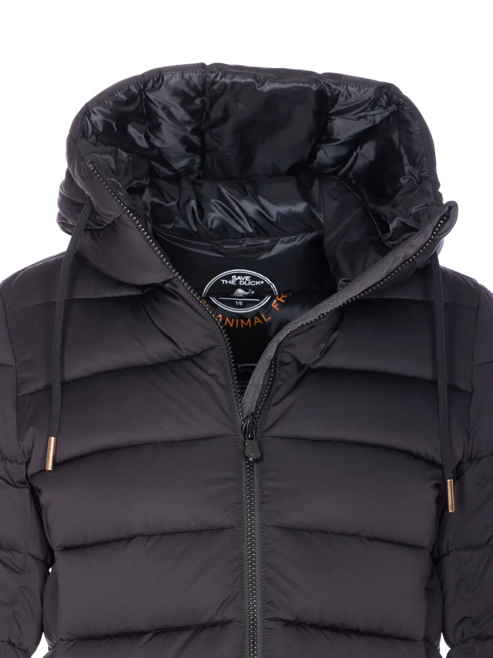 Save The Duck Hooded Padded Jacket In Black