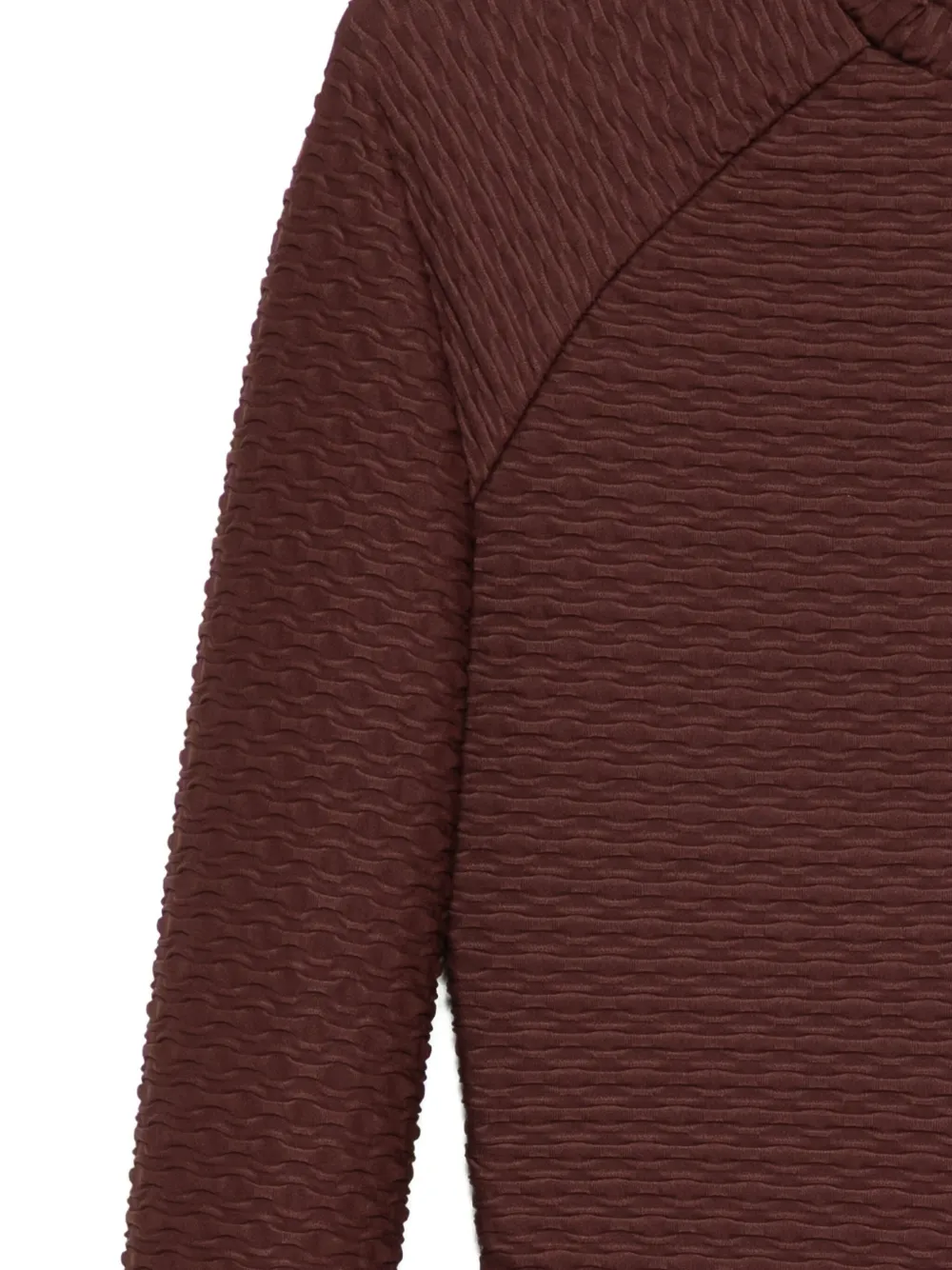 Duskii Long-sleeves Top In Brown