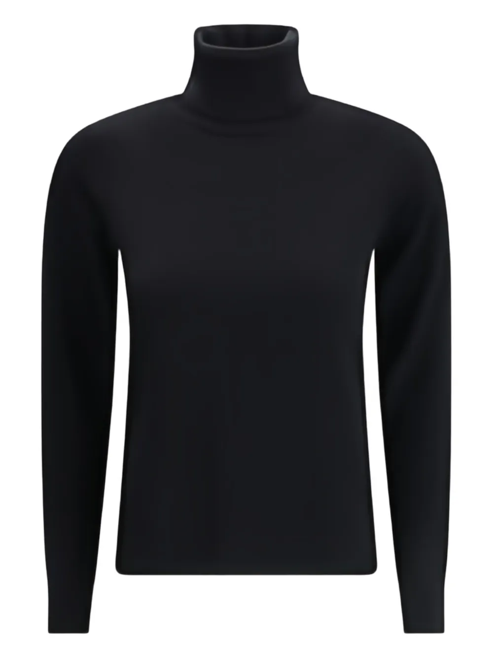 Max Mara Educata Turtleneck Sweater In Black