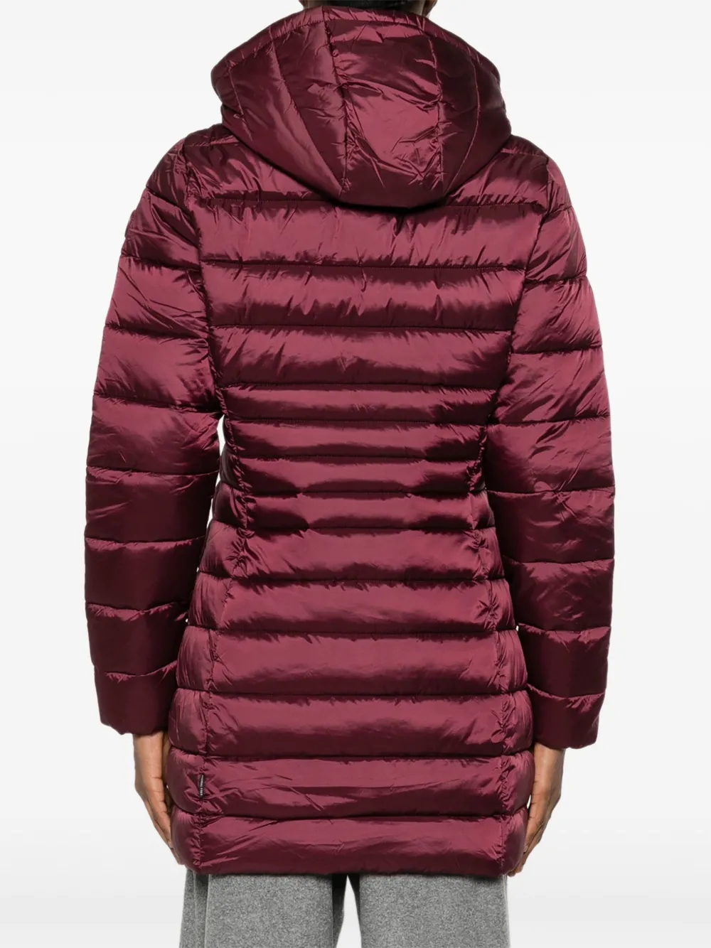 Save The Duck Gewatteerd jack Rood