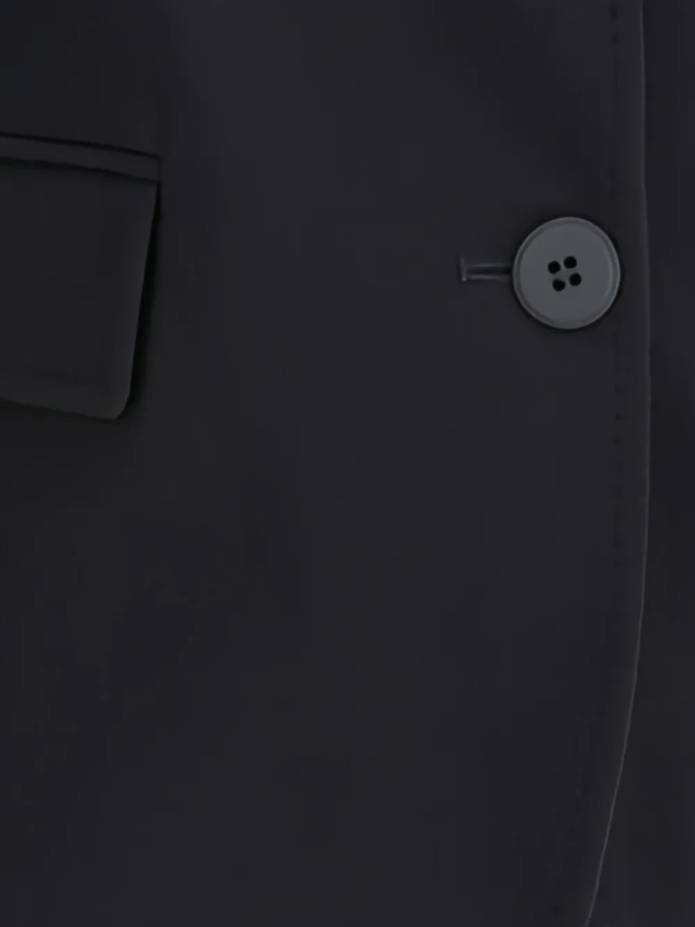 Max Mara Folgore blazer met knoopsluiting Zwart