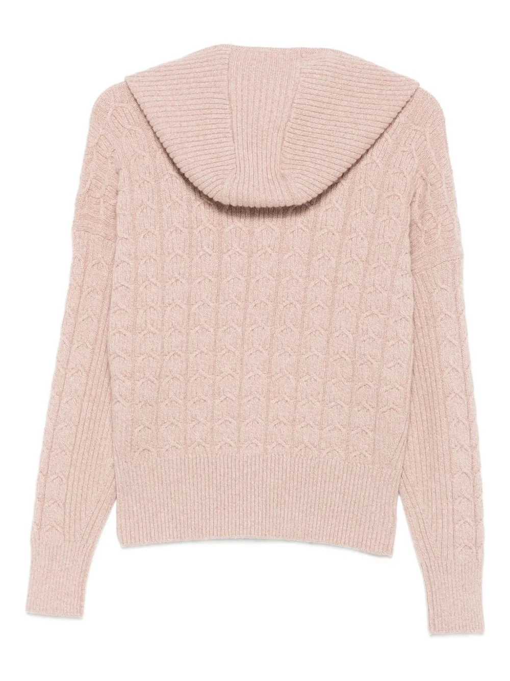 Agnona Cashmere Zip Hoodie In Pink