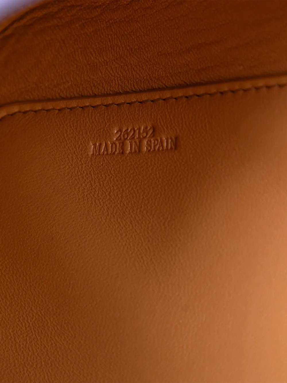 2021 Medium Leather Goya Crossbody Bag
