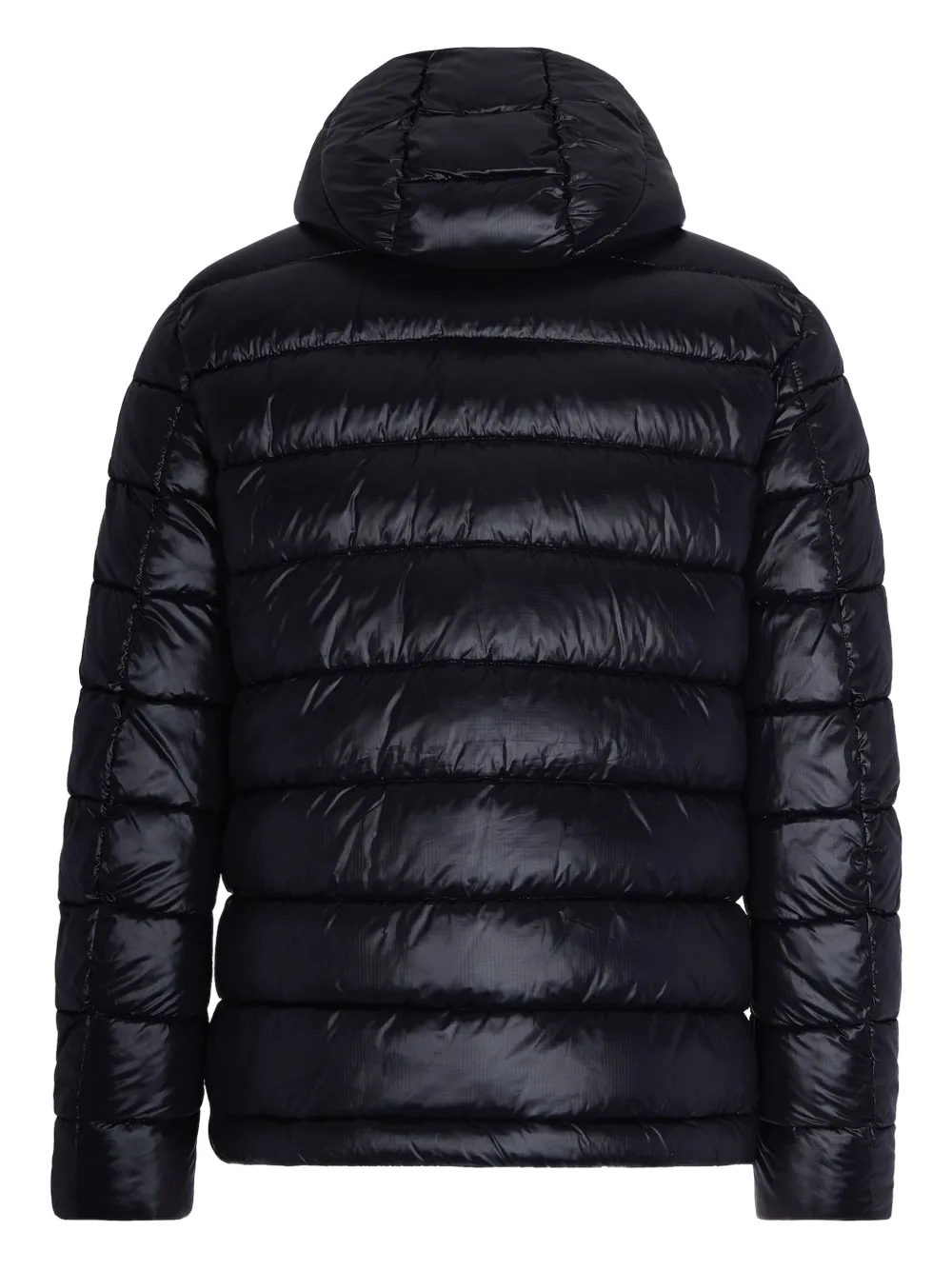 Blauer Adams Padded Jacket In Black