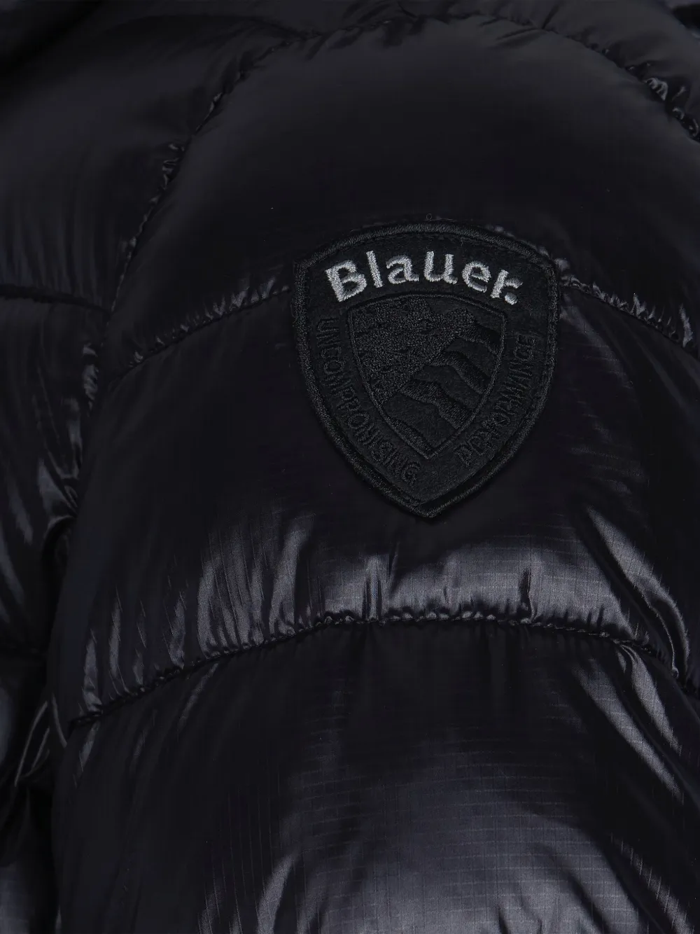 Blauer Adams Padded Jacket In Black