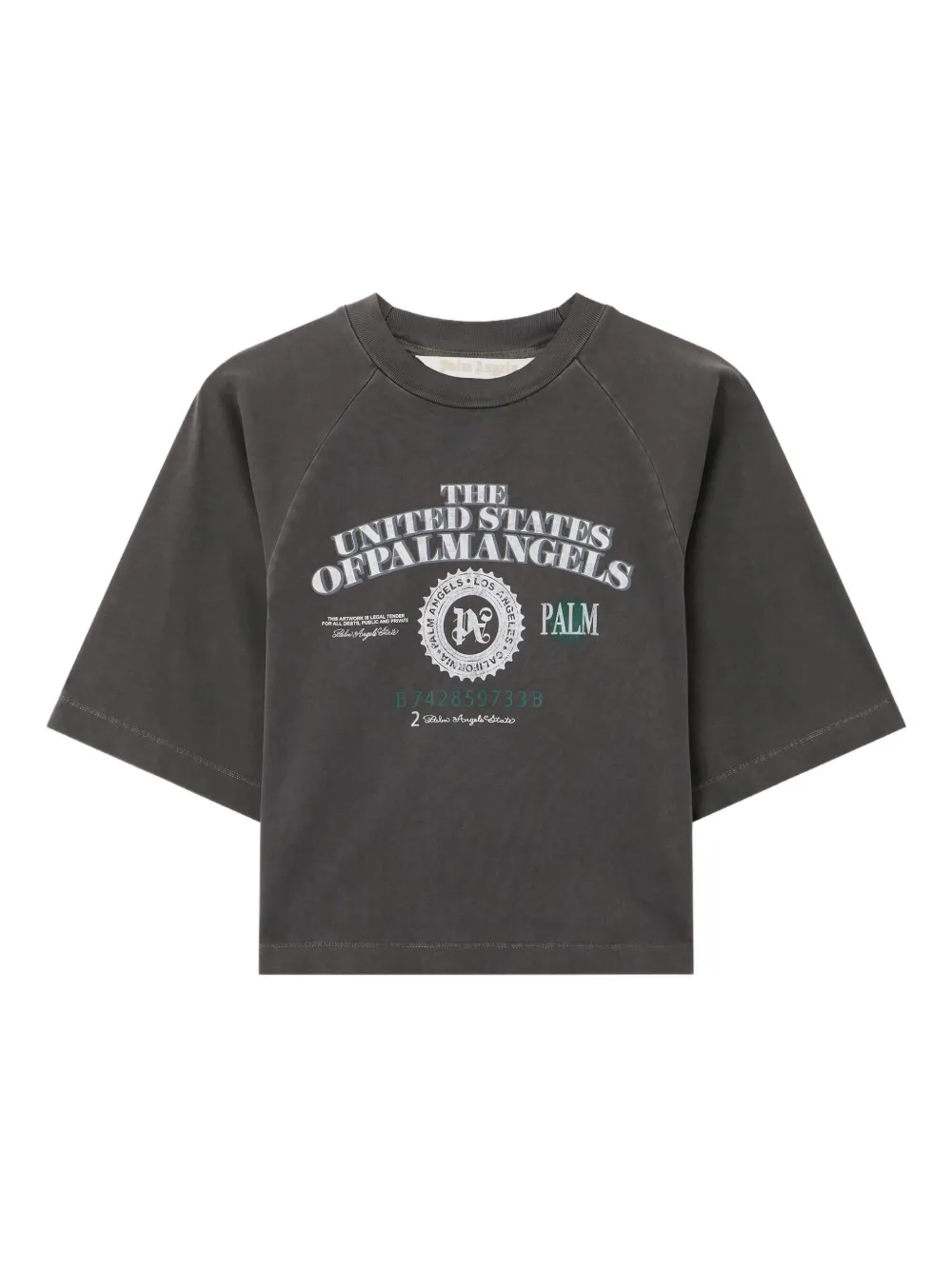 Palm Angels dollar-print T-shirt | Grey | Image 1