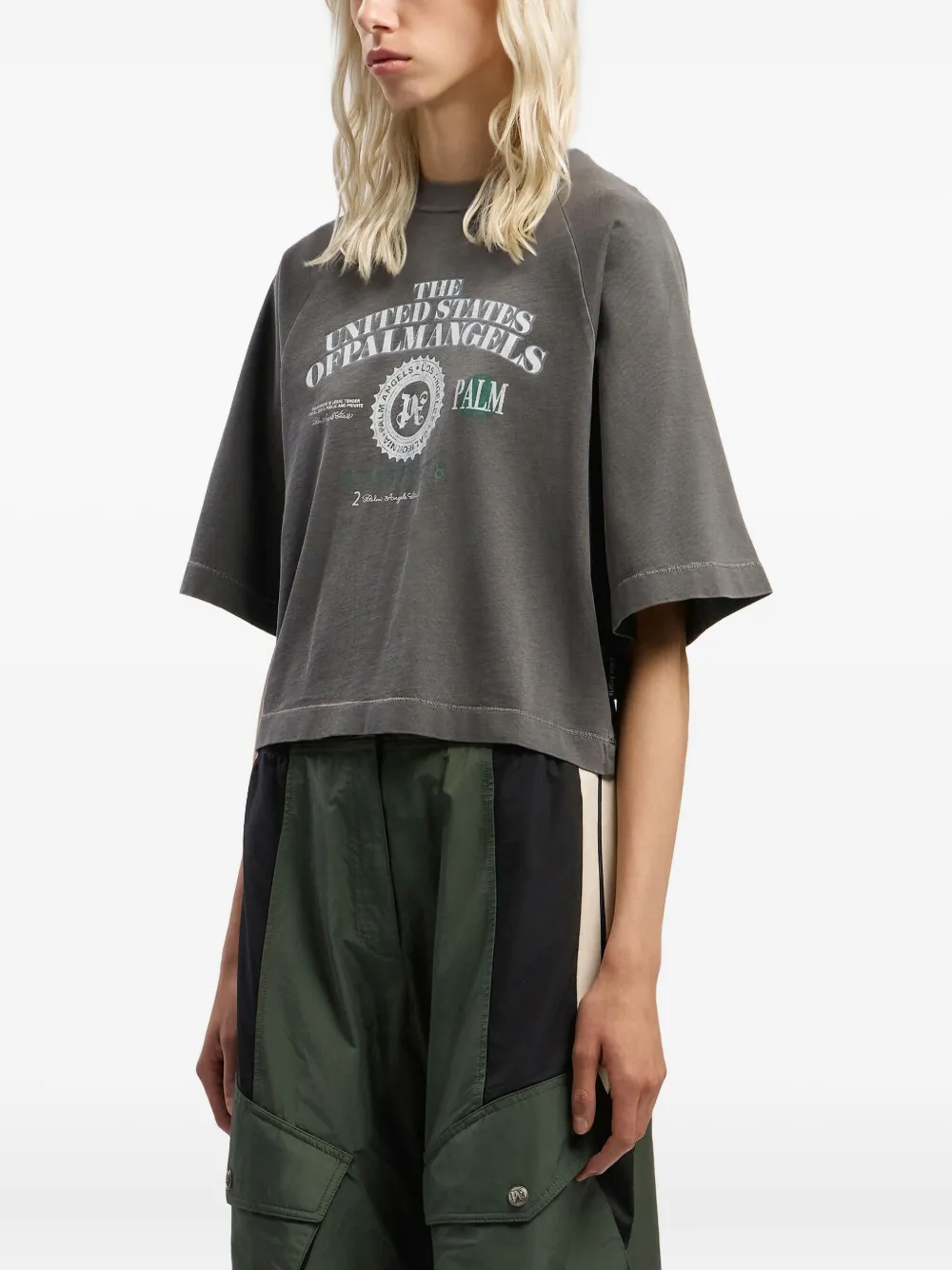 Palm Angels T-shirt met dollarprint Grijs