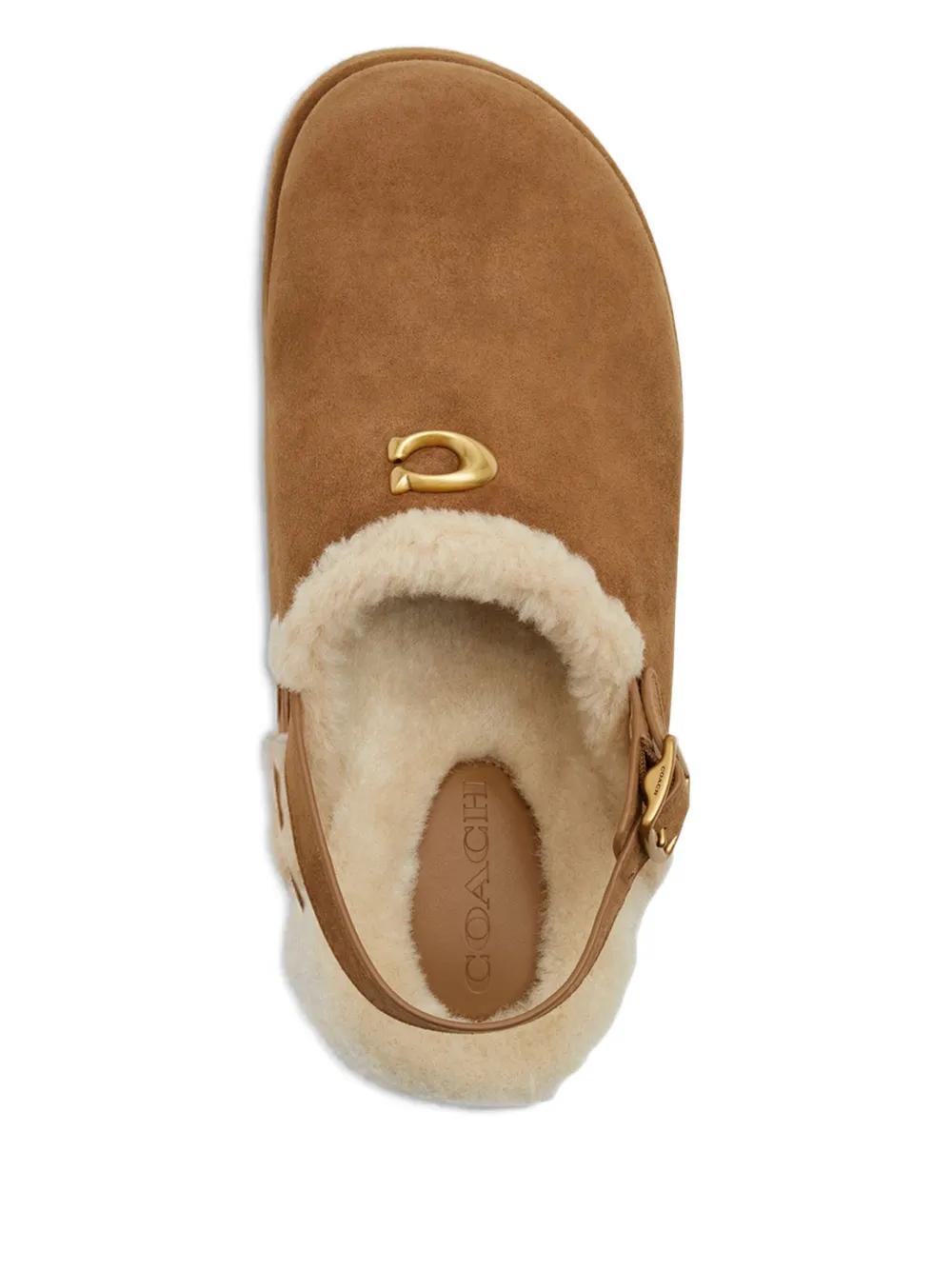 Coach 60mm Buckle-strap Mules In Brown