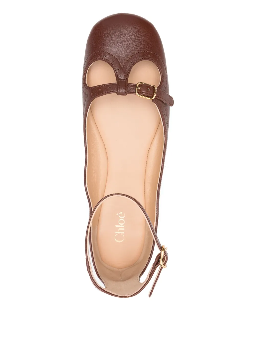 Chloé Misty Ballet Flats In Brown