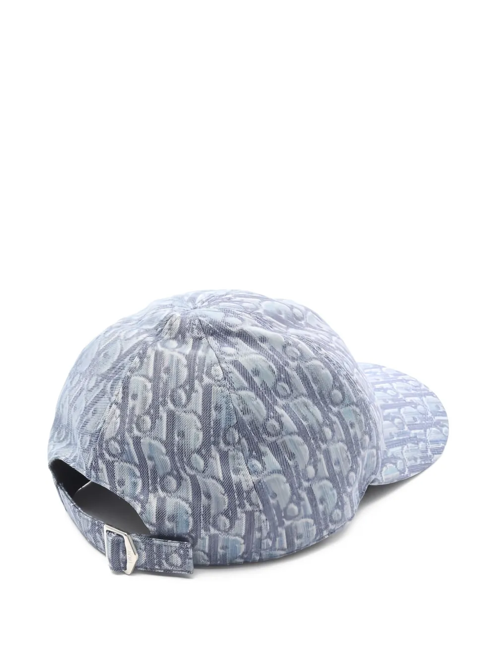 Christian Dior Pre-Owned 2020 Trotter canvas pet - Blauw