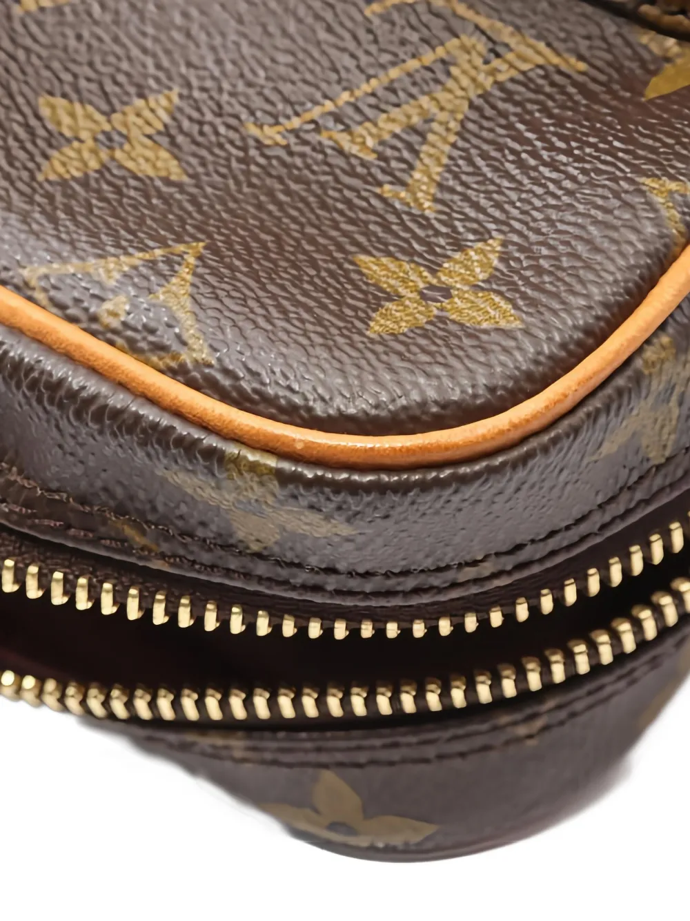 Pre-owned Louis Vuitton 2001 Amazon Monogram Shoulder Bag In Brown