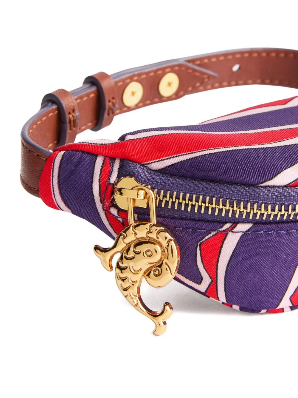 Pucci Yummy Coin Purse In Multi