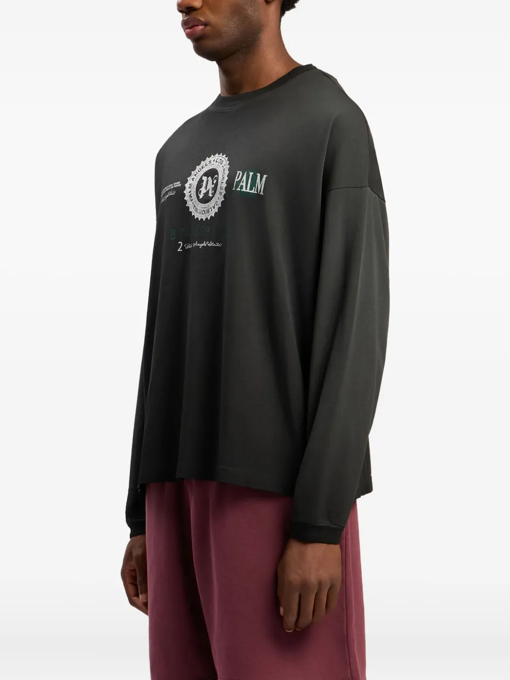 Palm Angels T-shirt met dollarprint en lange mouwen Zwart