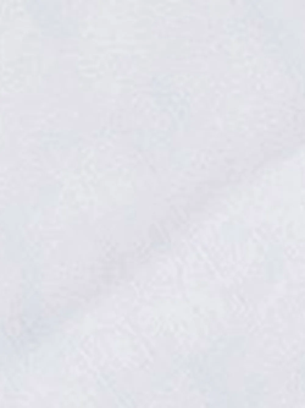 Elisabetta Franchi Fringed-edges Scarf In Gray