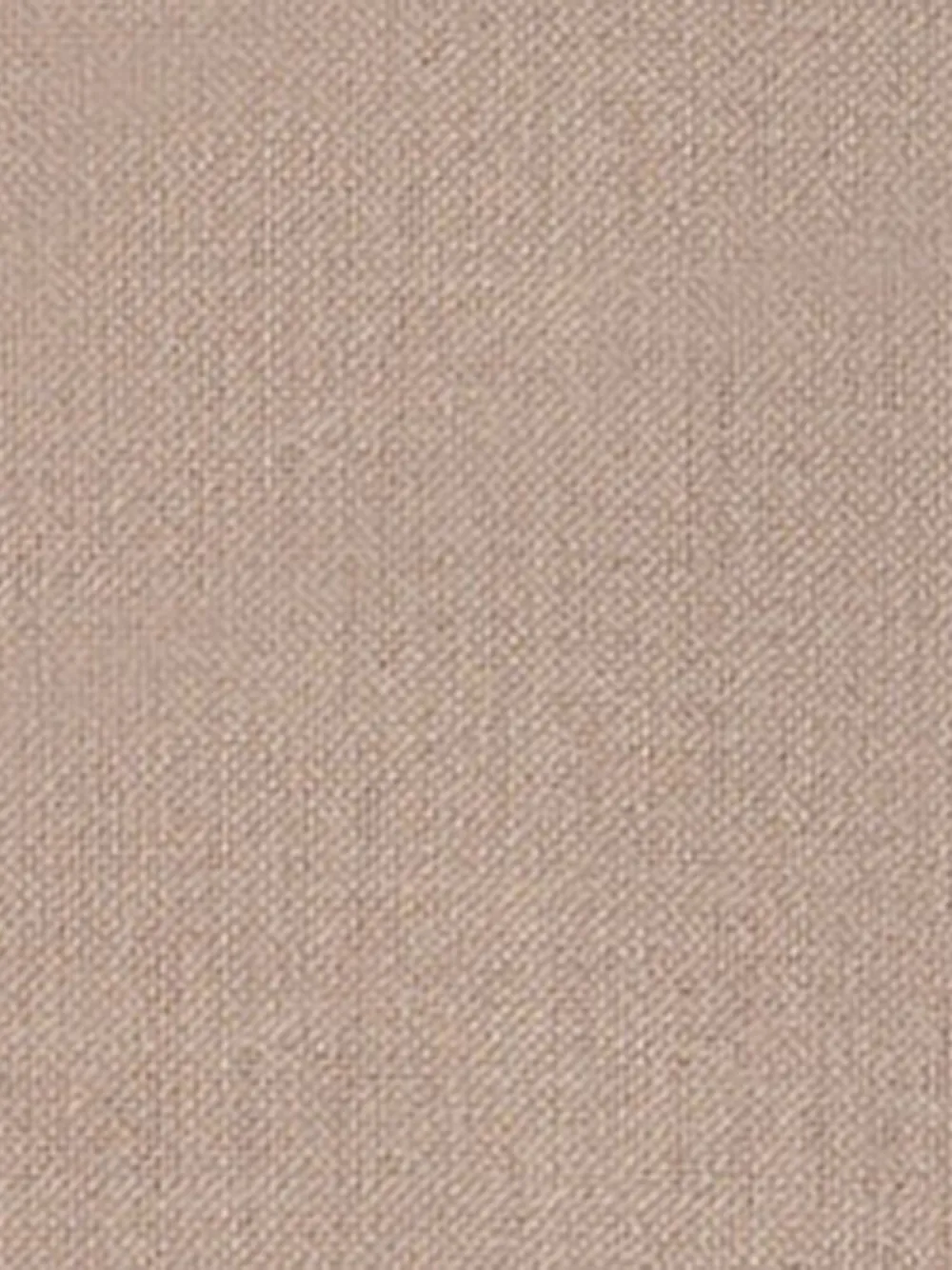 Weekend Max Mara Embroidered-detail Fringed-hem Scarf In Brown