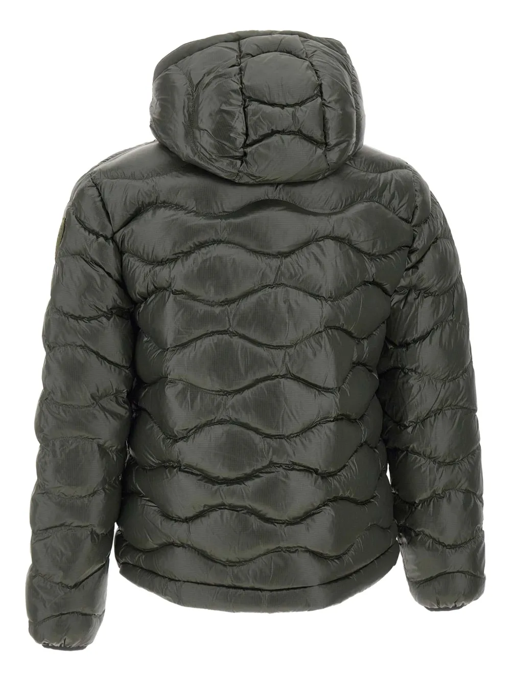 Blauer Long-sleeves Jacket In Green