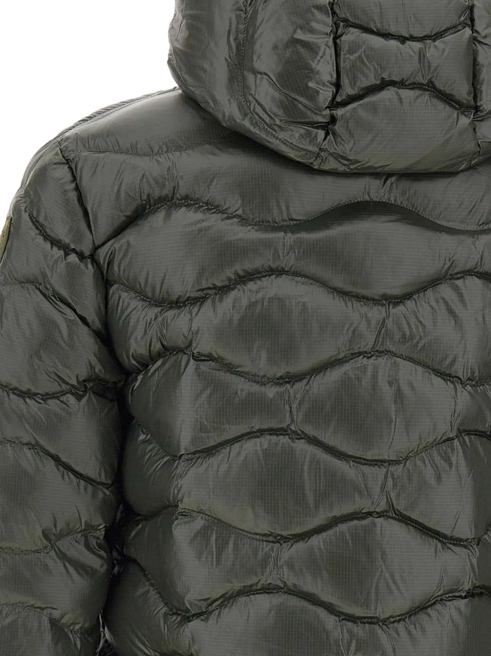 Blauer Long-sleeves Jacket In Green