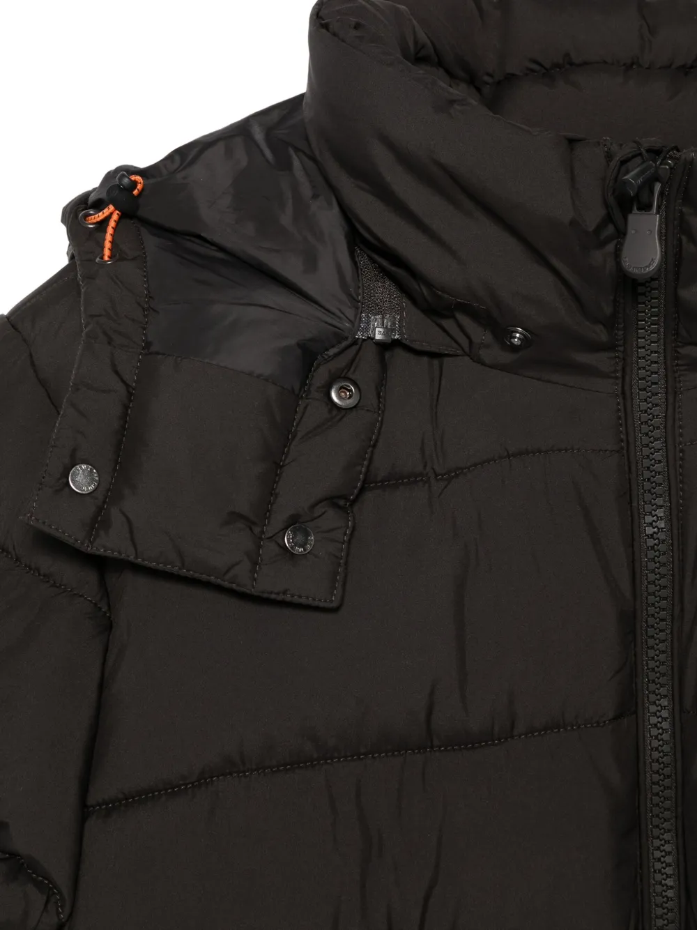 Save The Duck Donsjack met capuchon Zwart