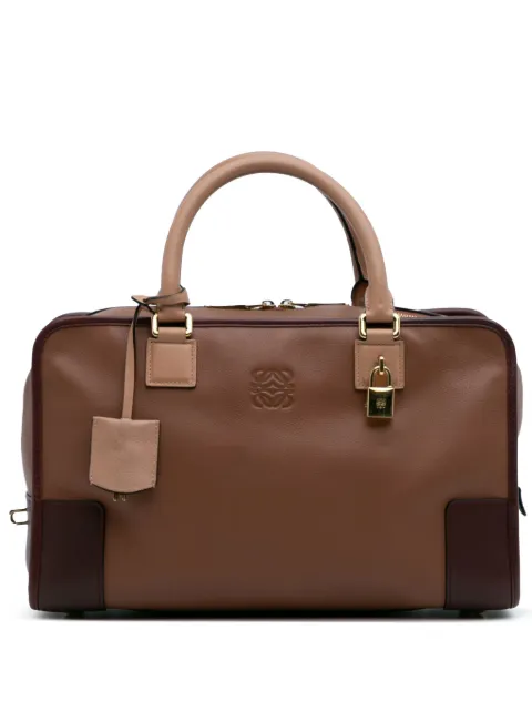 Loewe Pre-Owned 2010-2025 Tricolor Leather Amazona 36 handbag