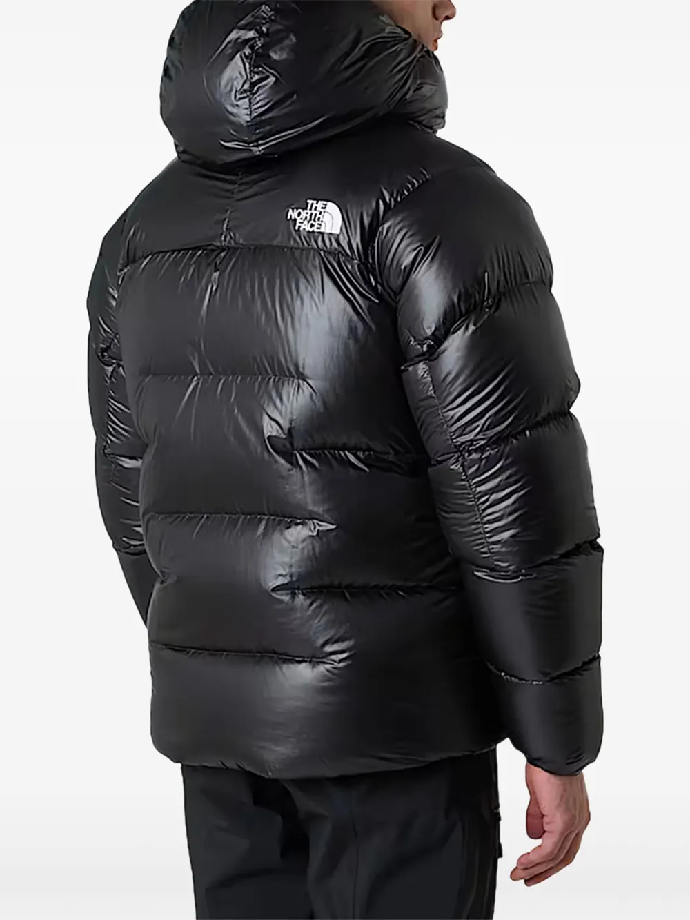 The North Face Summit Series gewatteerd jack met capuchon Zwart