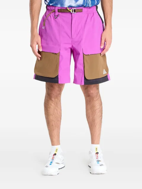 Nike Smith Summit cargo shorts