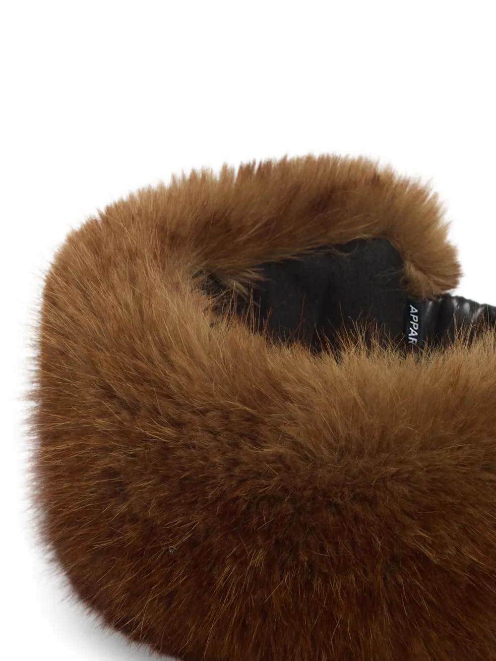 Apparis diadema Eleni | Image 2