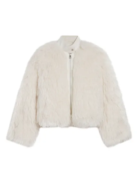 Apparis chamarra Lillet