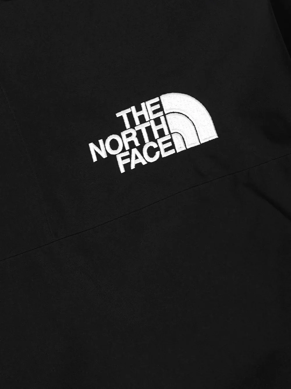 The North Face Gore-Tex jack Zwart