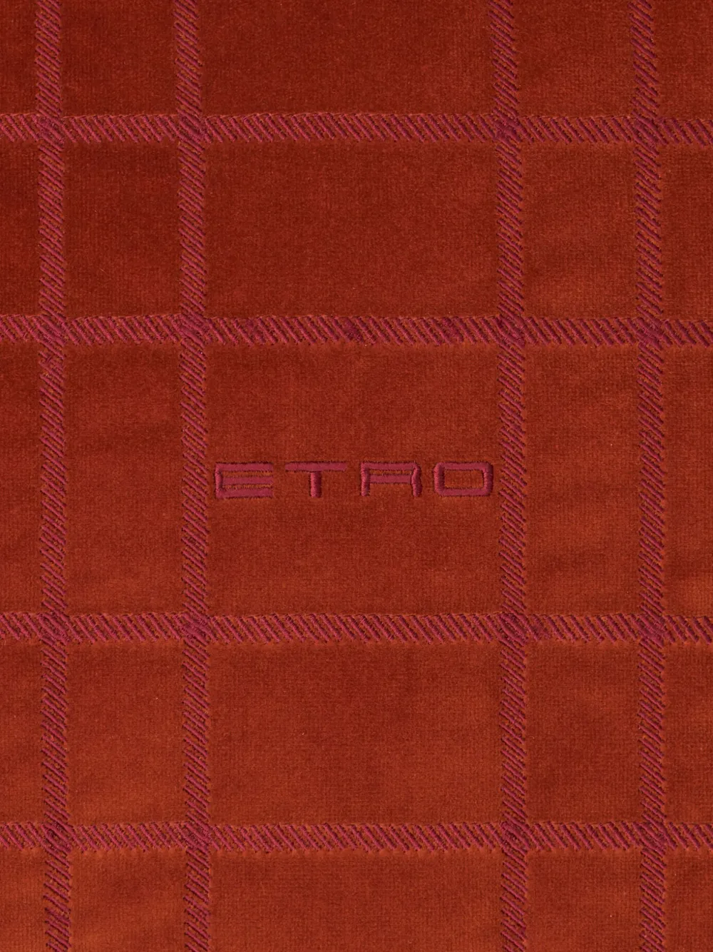 Etro Home Embroidered Velvet Cushion (45cm X 45cm) In Orange