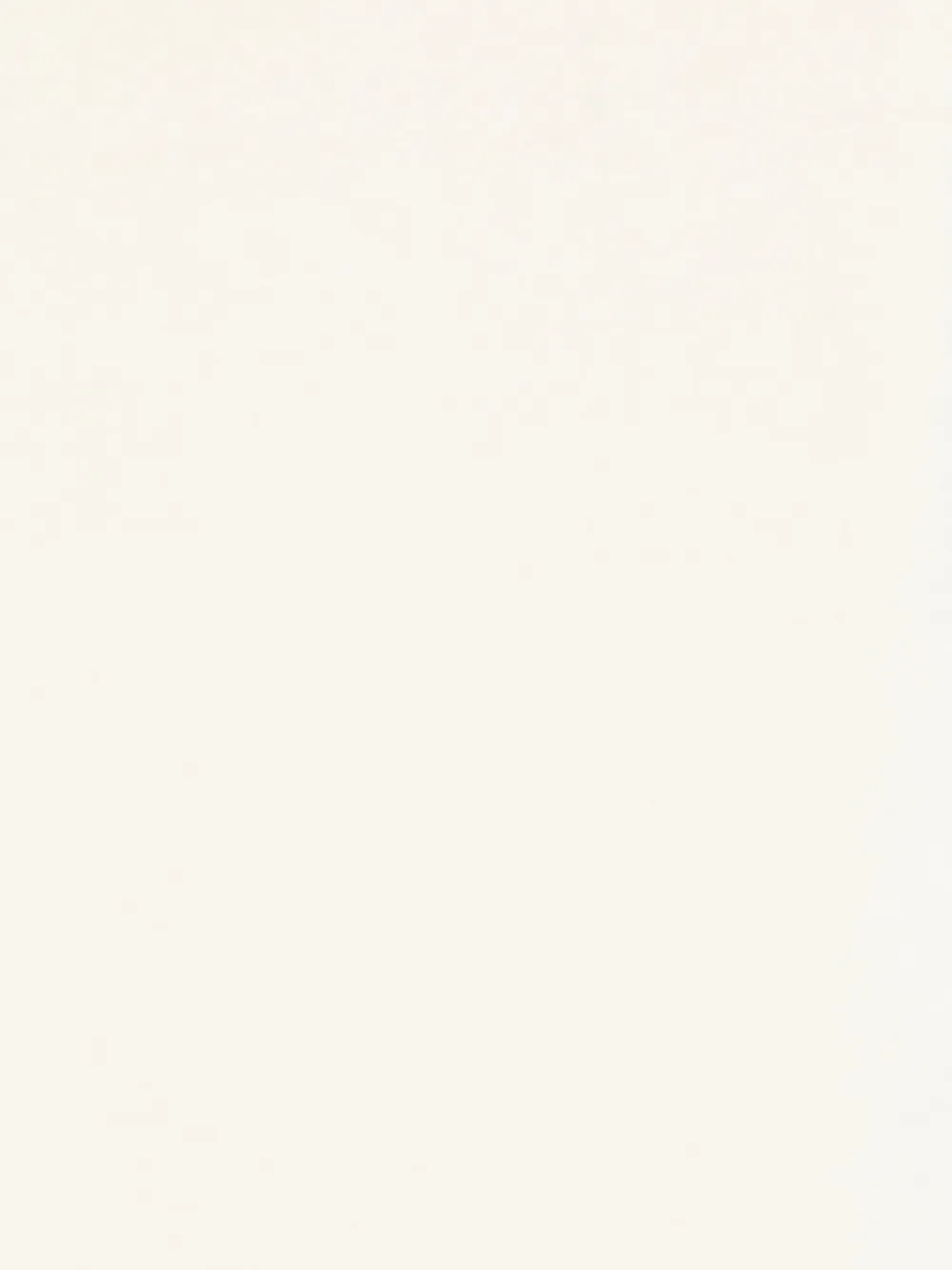 TOTEME brushed fringed scarf | Image 2