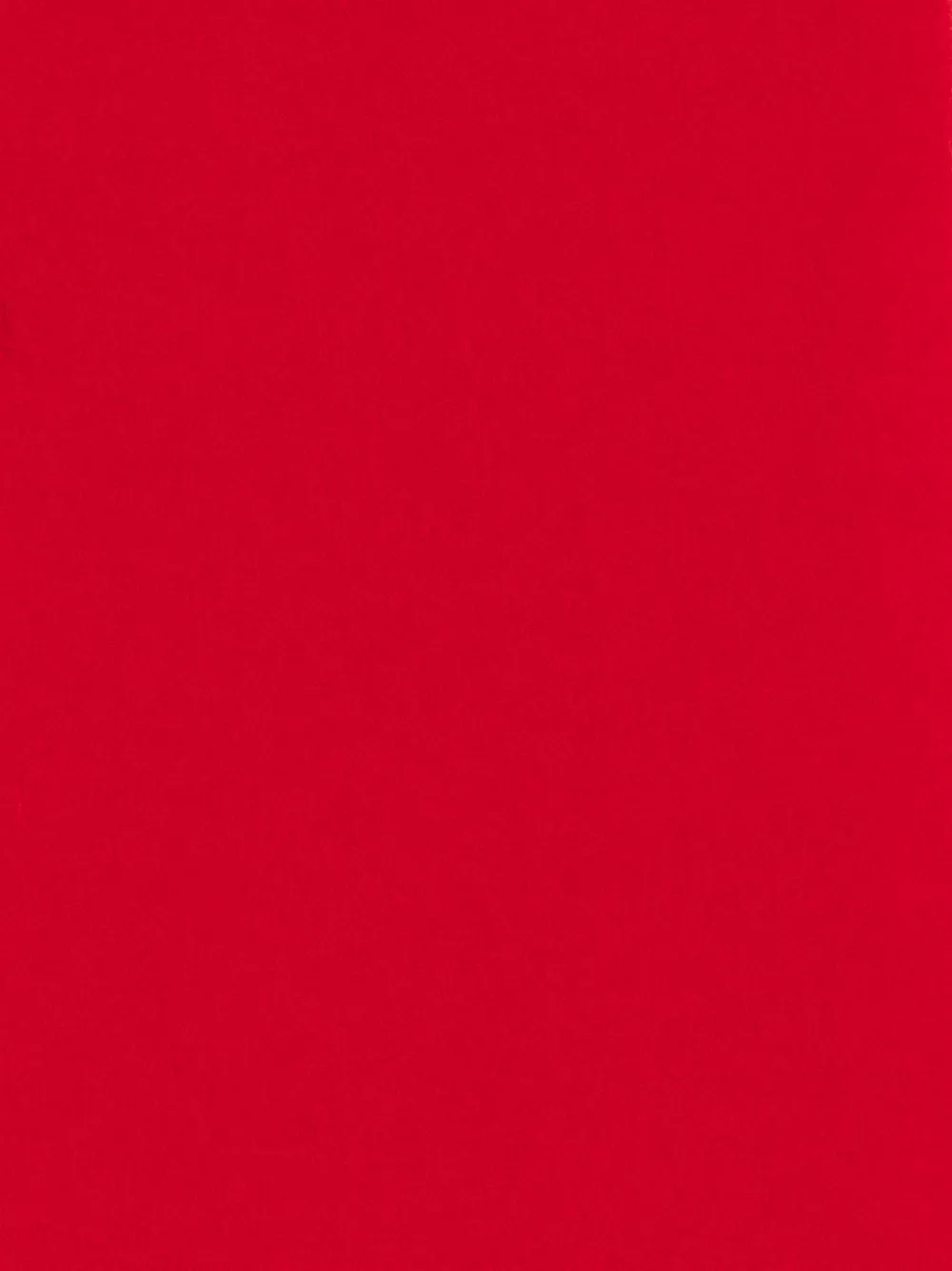  Toteme Fuzzy Fringed Scarf - Red 