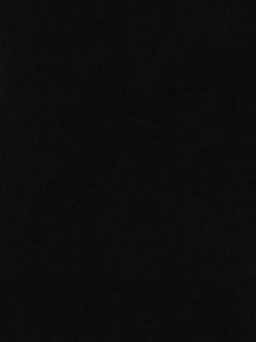 TOTEME Fuzzy scarf | Image 2