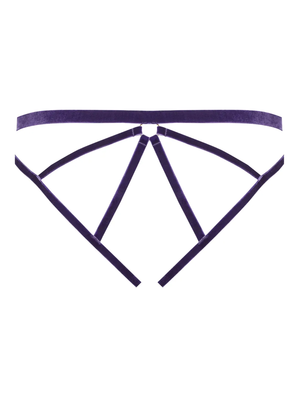 Maison Close Velvet Open Briefs In Purple