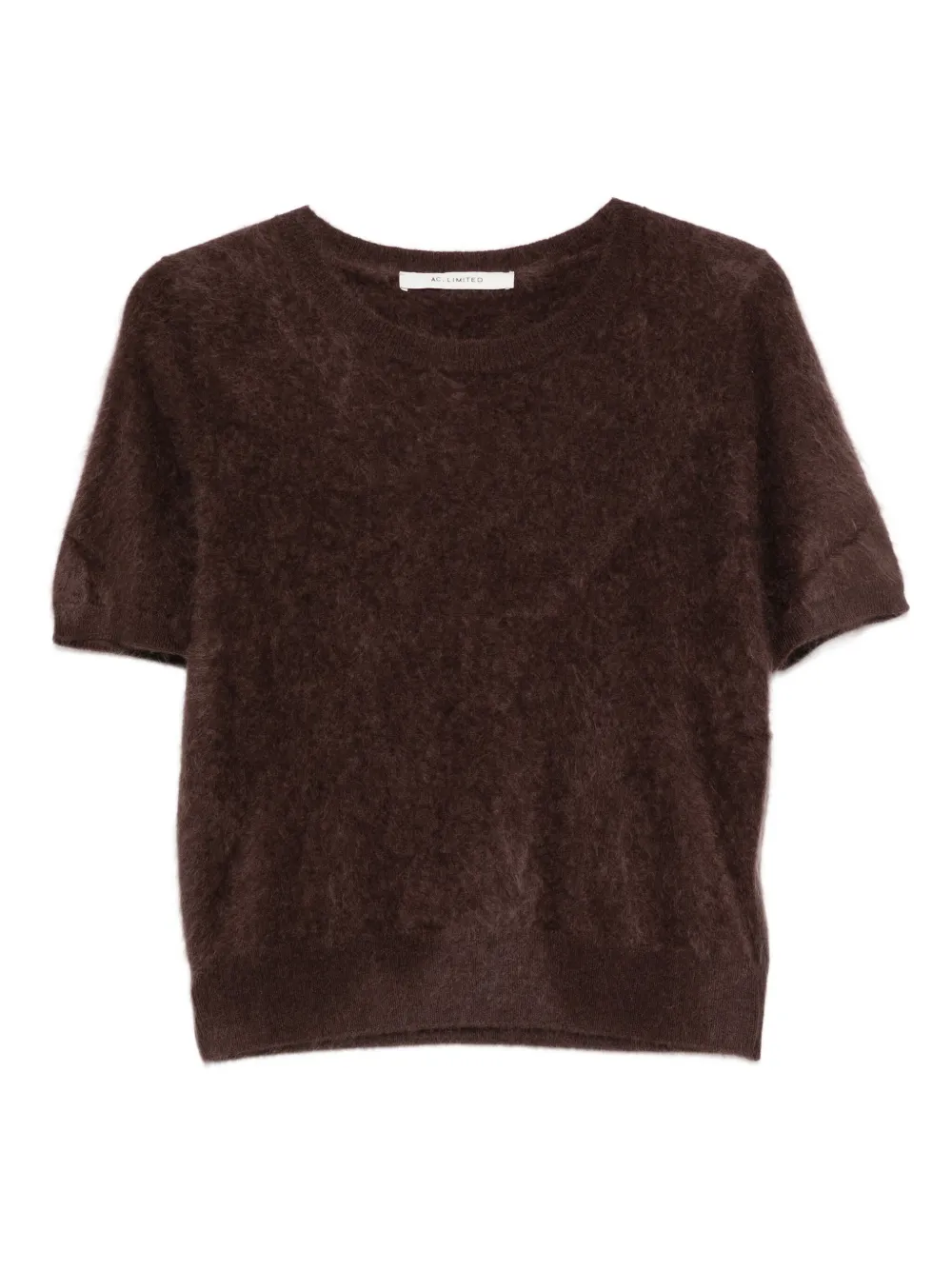 Absolut Cashmere Amaya T-shirt In Brown