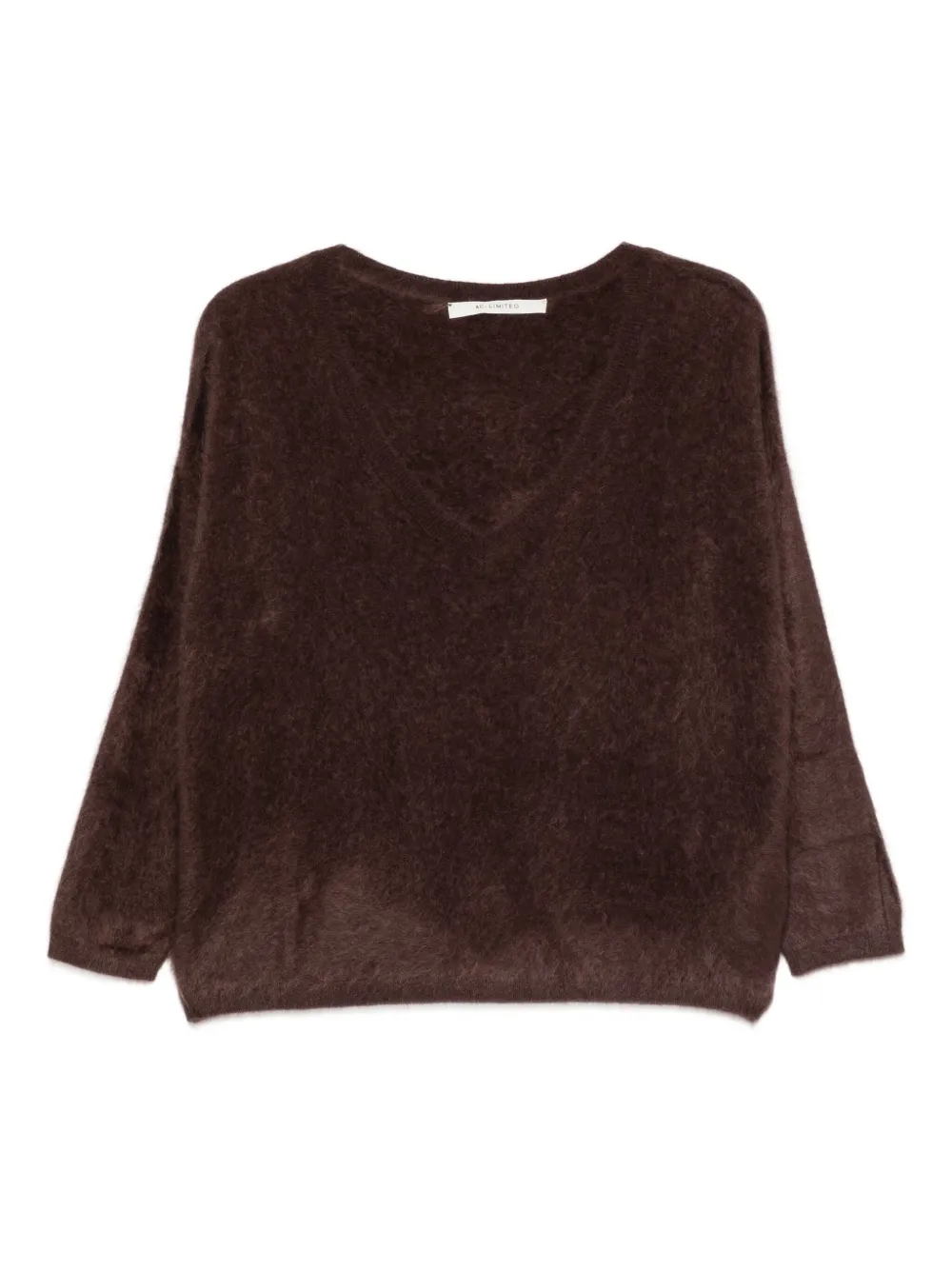Absolut Cashmere Soeli V-neck Sweater In Brown