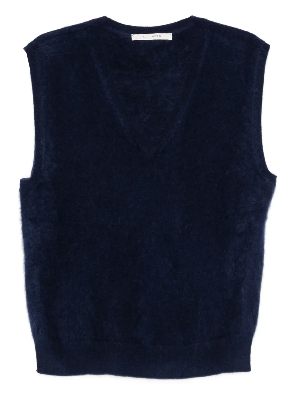 Absolut Cashmere Miriam V-neck Top In Blue